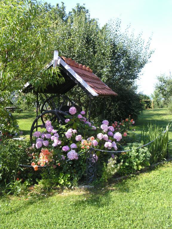 פטוי Panorama B&B מראה חיצוני תמונה