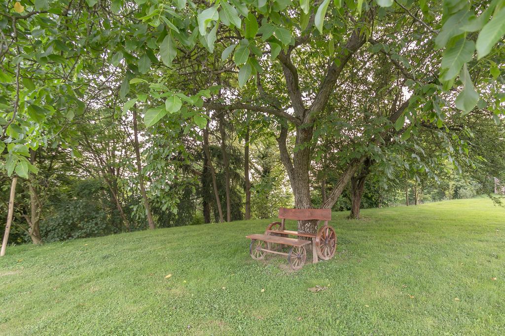 פטוי Panorama B&B מראה חיצוני תמונה