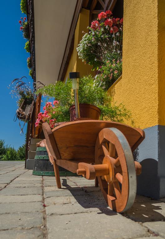פטוי Panorama B&B מראה חיצוני תמונה
