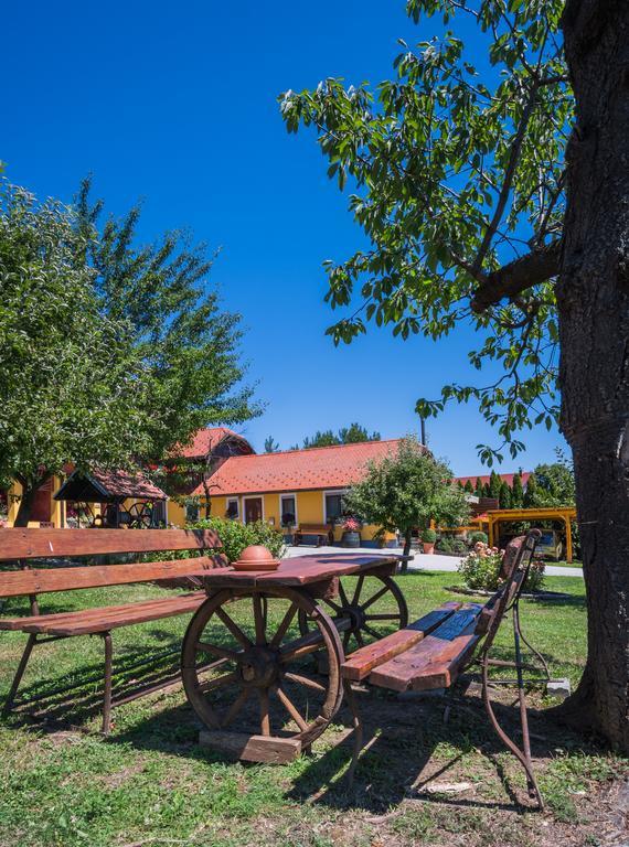פטוי Panorama B&B מראה חיצוני תמונה