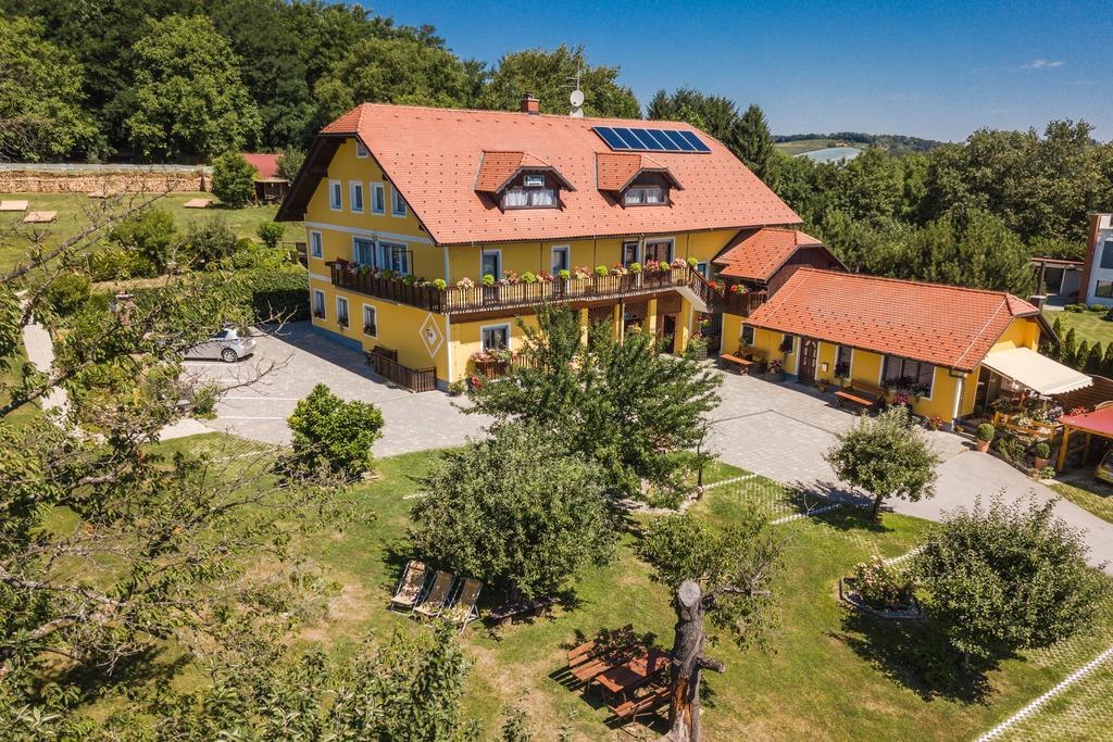 פטוי Panorama B&B מראה חיצוני תמונה