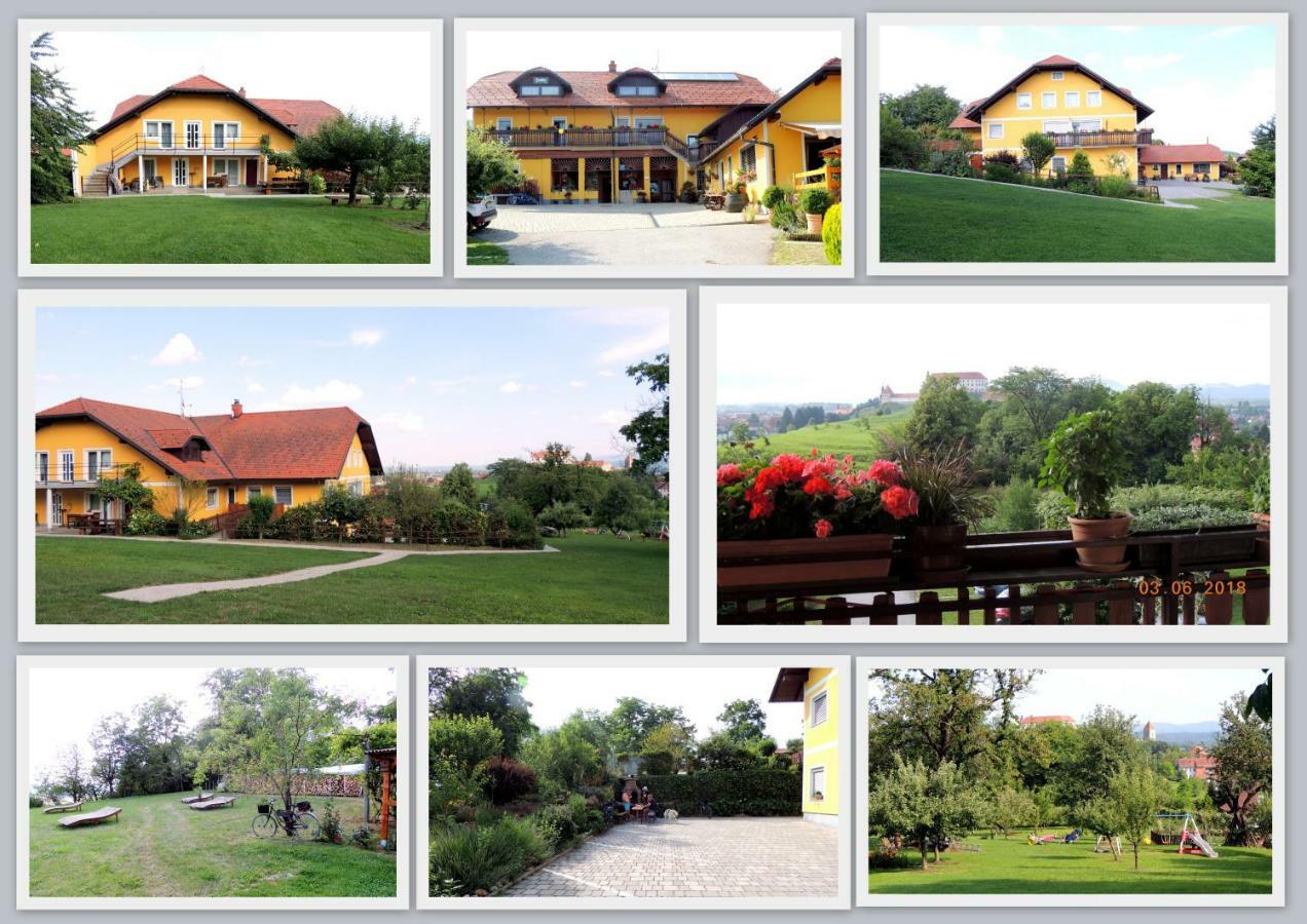 פטוי Panorama B&B מראה חיצוני תמונה